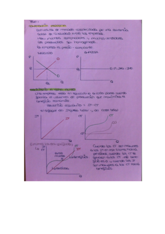 apuntes econometria tema 1-9 .pdf