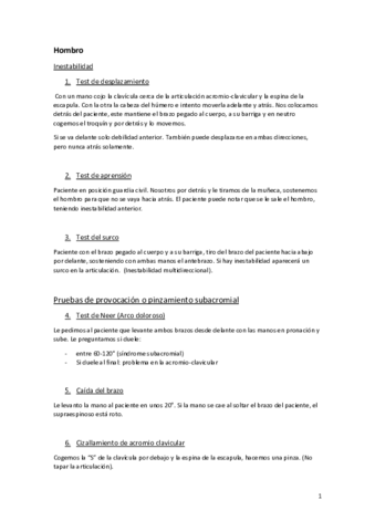 pruebas-completas.pdf