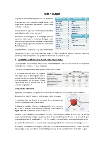 TEMA-2.pdf