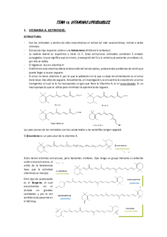 TEMA-13.pdf