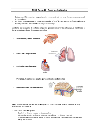 TMO-10-Papel-de-las-fascias.pdf
