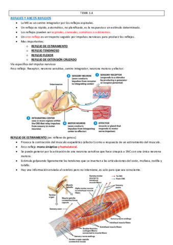 Fisiologia-3.pdf