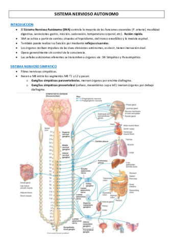 Fisiologia-3.pdf