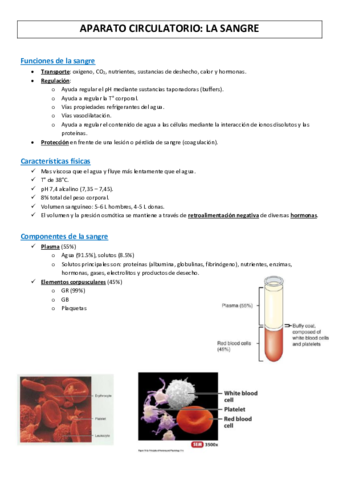 Fisiologia-5.pdf