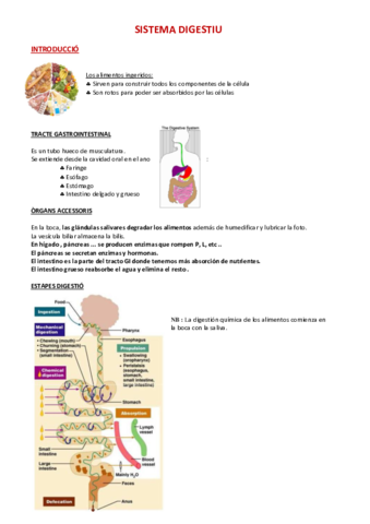 Fisiologia-8-Sistema-Digestivo.pdf