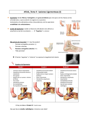 AFLAL-4-Lesiones-Ligamentosas.pdf