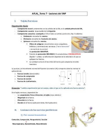 AFLAL-7-Lesiones-del-SNP.pdf