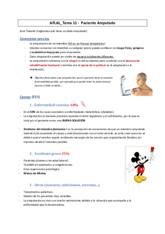 AFLAL-9-Paciente-Amputado.pdf