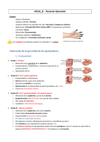 AFLAL-8-Pacientes-Quemados.pdf