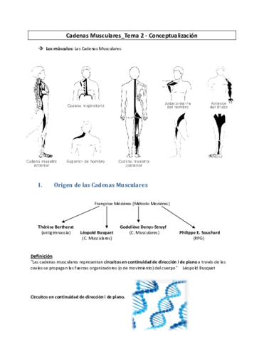 Cadenas-Conceptualizacion.pdf