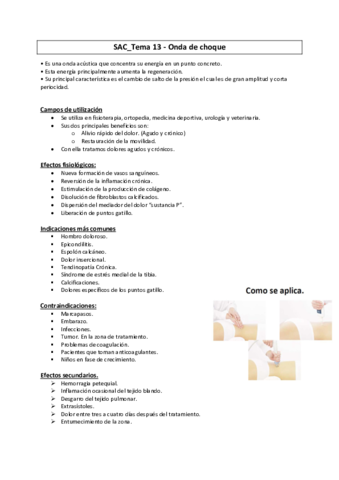 SAC-13-Onda-de-choque.pdf