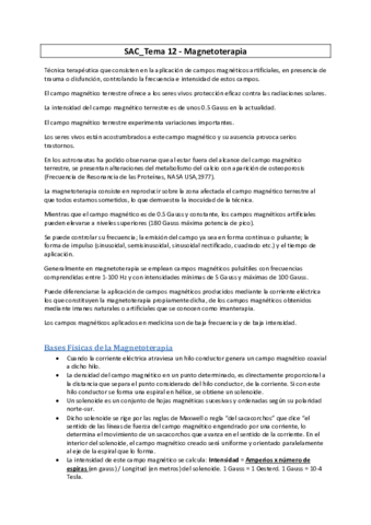 SAC-12-Magneto.pdf