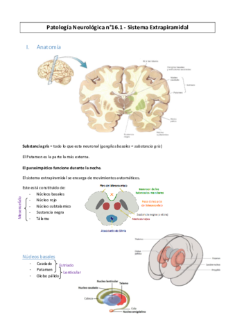 PatoNeuro-n16.pdf