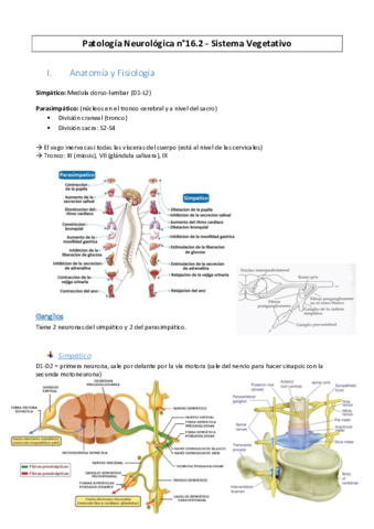 PatoNeuro-n16.pdf