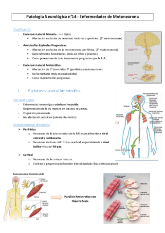 PatoNeuro-n14-Esclerosis-Lateral-AmiotroficaMC2016.pdf
