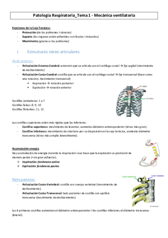 Patologia-Respiratoria-n1-Mecanica-Ventilatoria.pdf