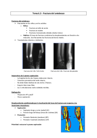PT-n6.pdf