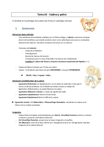PT-n10-Cadera-y-Pelvis.pdf