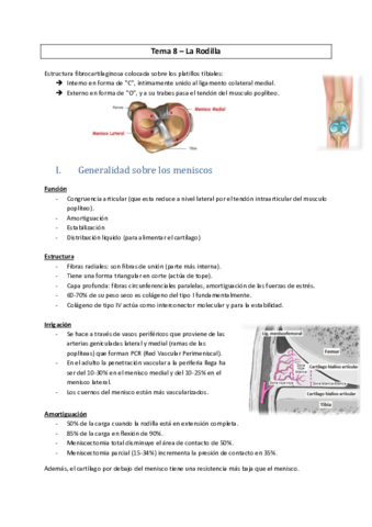 PT-n8-Rodilla.pdf
