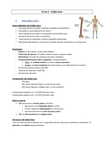 PT-n3-Tejido-oseo.pdf