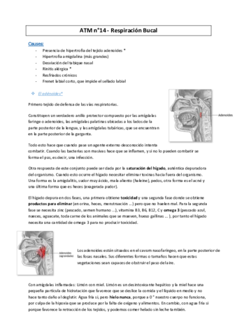 ATM-14-Respiracion-bucal--MC2016.pdf