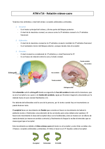 ATM-16-Relacion-Craneo-Sacro--MC2016.pdf