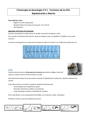 Fisio-Neuro-Funciones-de-les-EEII-Bipedestacion.pdf