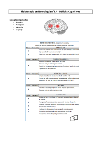 Fisio-Neuro-Deficits-Cognitivos.pdf
