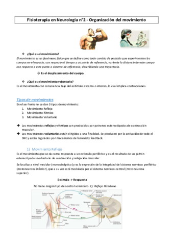 Fisio-Neuro-Organizacion-del-movimiento.pdf
