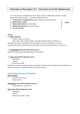 Fisio-Neuro-Tratamiento-EEII.pdf