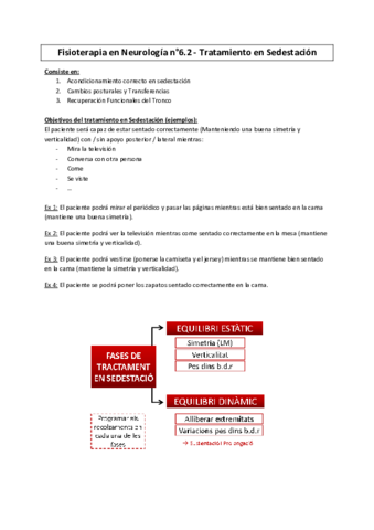 Fisio-Neuro-Tratamiento-en-Sedestacion.pdf