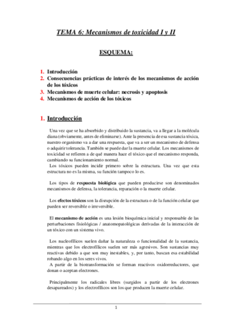 TEMA-6.pdf