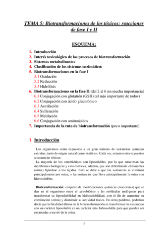 TEMA-5.pdf