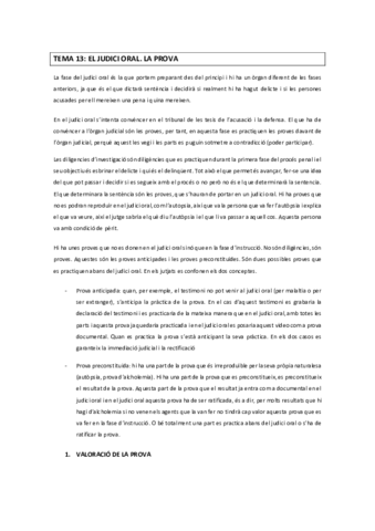 TEMA-13.pdf
