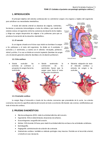 Tema-17PQ-cardiaca.pdf