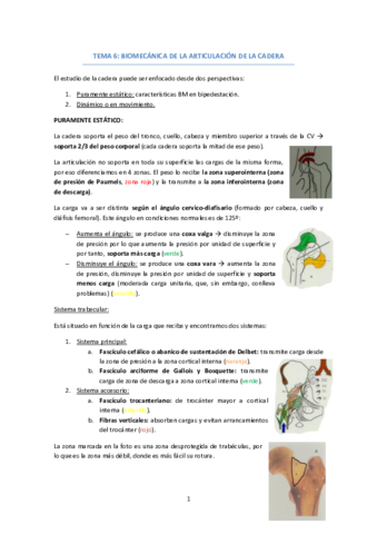 TEMA-6-BIOMECANICA-CADERA.pdf