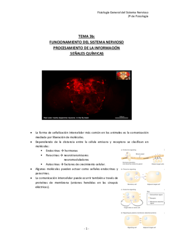 TEMA-3b.pdf