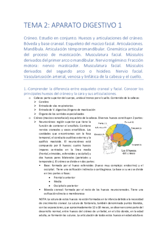TEMA-2.pdf