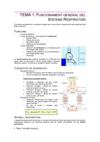Tema1-FisiologiaRespi.pdf