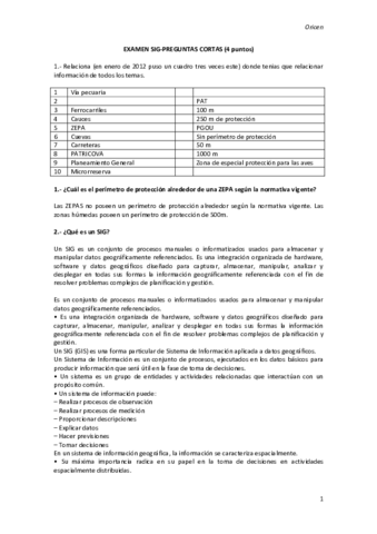 Examen-SIG.pdf