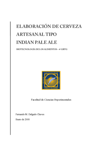 Memoria-cerveza.pdf