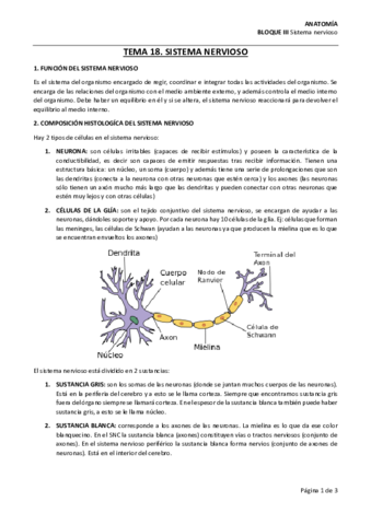 Anatomia-segundo-cuatrimestre.pdf