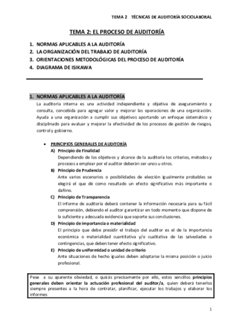 APUNTES TEMA 2 TÉCNICAS DE AUDITORÍA (33561).pdf