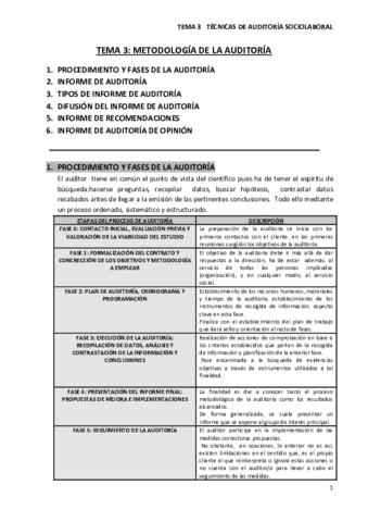 APUNTES TEMA 3 TÉCNICAS DE AUDITORÍA (33561).pdf
