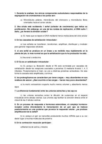 EXAMEN-enero.pdf