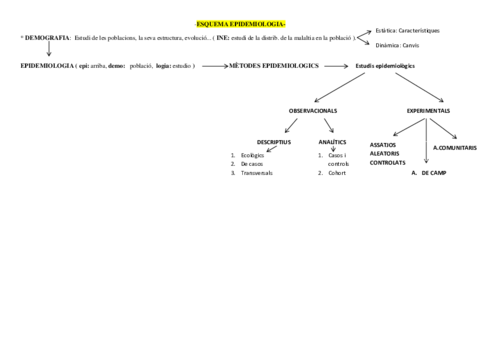 ESQUEMA-EPIDEMIOLOGIA.pdf