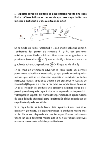 FLUI2.pdf