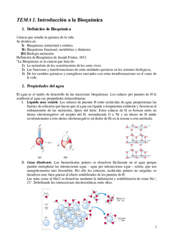 ApuntesbioquimicaI.pdf