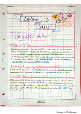 Acido-Base.pdf