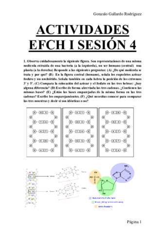 ACTIVIDADES-EFCH-I-SESION-4.pdf